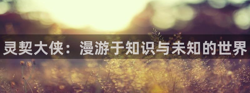 香蕉漫画在线免费：灵契大侠：漫游于知识与未知的世界