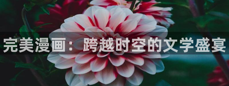 香蕉漫画官：完美漫画：跨越时空的文学盛宴