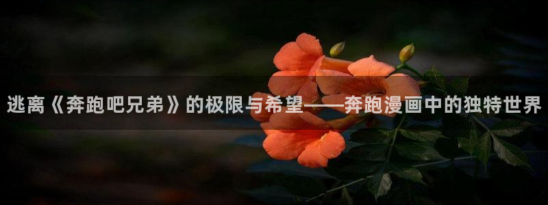 香蕉漫画在线阅读页面免费漫画：逃离《奔跑吧兄弟》的极限与希望——奔跑漫画中的独特世界